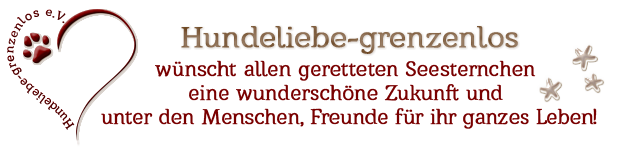 hulipfotenherzankunft2